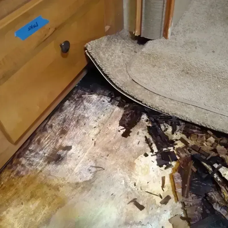 Wood Floor Water Damage in Tice, FL